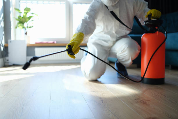 Trusted Sewage Cleanup service in Somerville, OH - Four Month Blood Cleanse